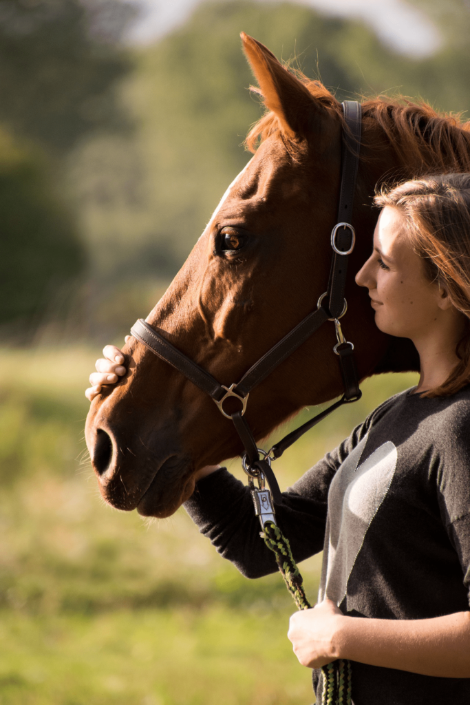 Keeping Your Horses Safe in the Heat