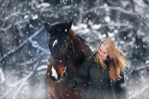 Keeping your Horse Happy and Healthy in Winter