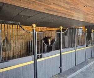 gold internal stables