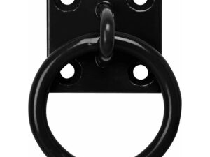 Perry Chain Ring on Plate