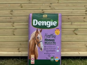 Dengie Healthy Hooves Molasses Free bag leaning against a timber stable building