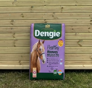 Dengie Healthy Hooves Molasses Free bag leaning against a timber stable building