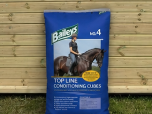 Baileys Top Line Conditioning Cubes leaning against a timber stable building