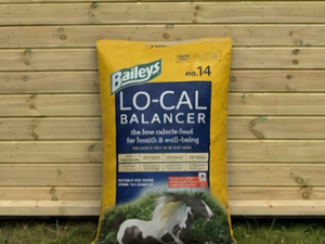 Baileys no.14 Low Cal Balancer bag leaning against a timber stable building