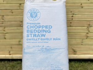Gower Granary Premium Chopped Wheat Bedding Straw 100L leaning against a timber stable building