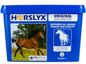Horslyx Original – 5KG