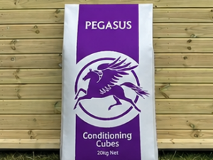Pegasus Conditioning cubes 20kg bag leaning against a timber stable building