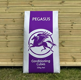 Pegasus Conditioning cubes 20kg bag leaning against a timber stable building