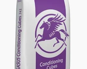 Spillers Pegasus Conditioning Cubes 20KG horse feed bag