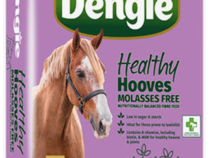 Dengie Healthy Hooves Molasses Free 20KG horse feed bag