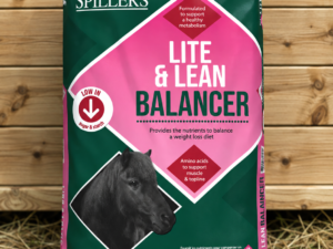 Spillers Lite & Lean Balancer 20kg horse feed