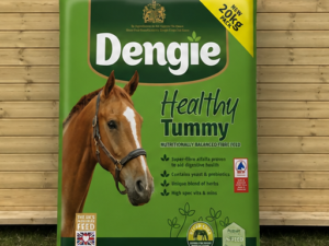 Dengie Healthy Tummy 20kg feed leaning against a timber stable building