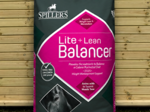 Spillers Lite and Lean Balancer 20kg feed leaning against a timber stable building