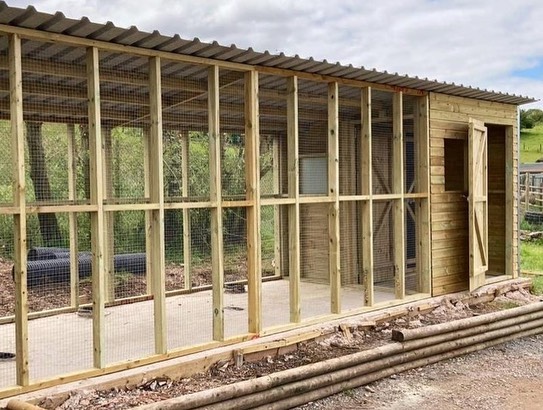 Bespoke Timber Cat House