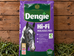 Dengie Hi-Fi Molasses Free 20kg horse feed