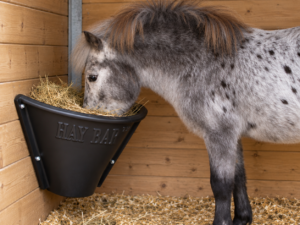 HayBar Classic Pony Feeder Black in wooden stable