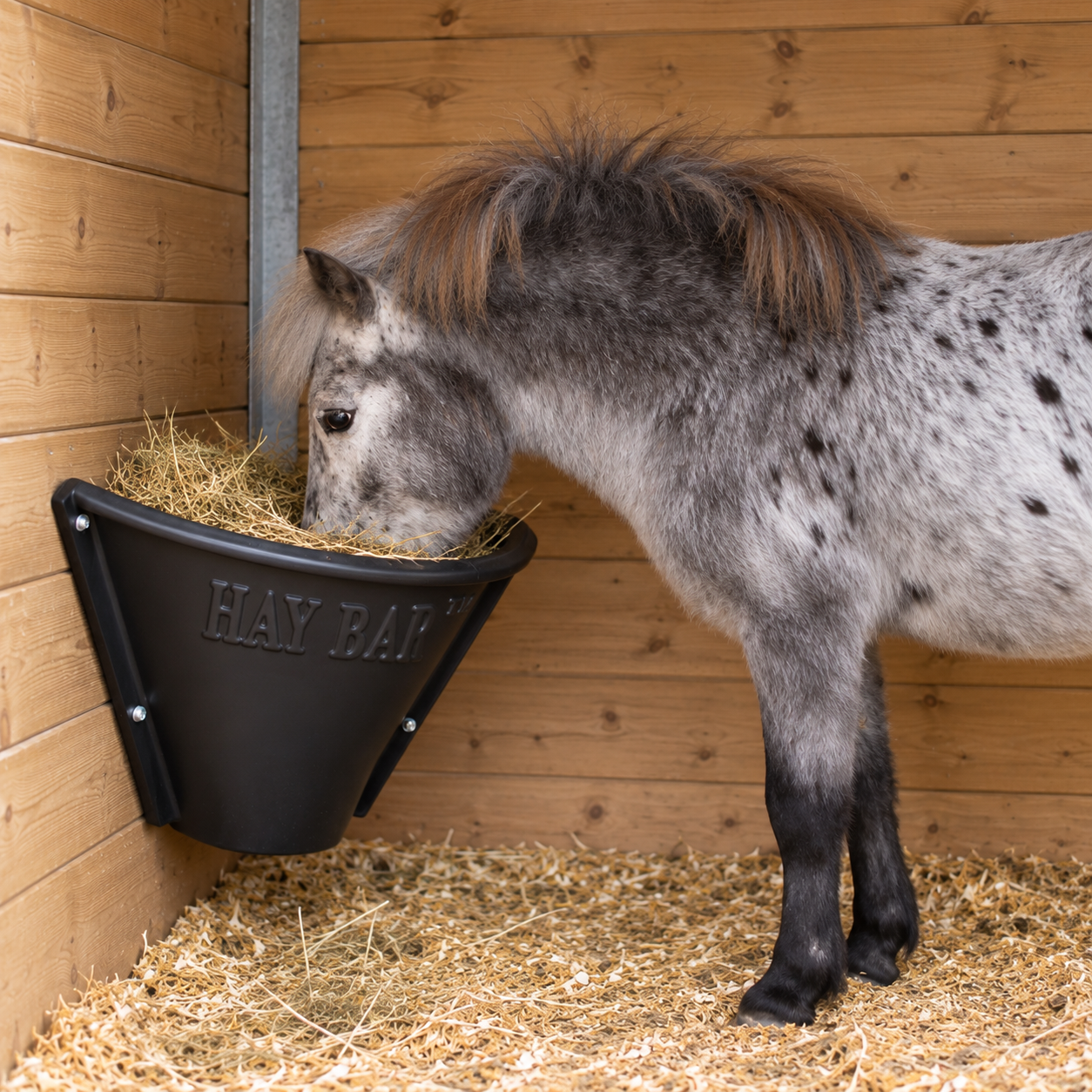 HayBar Classic Pony Feeder Black in wooden stable