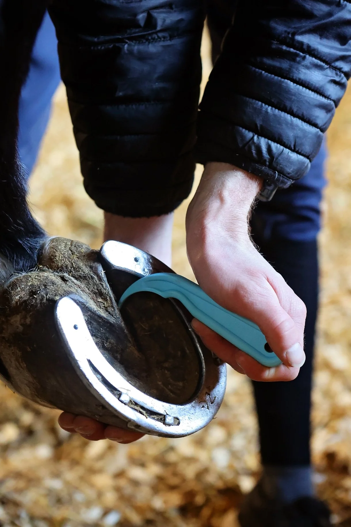 Red Gorilla Hoof Pick - Image 3