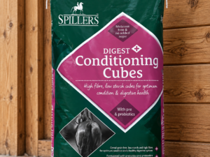 Spillers Digest and Conditioning Cubes