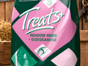 Spillers Meadow Herb and Glucosamine Horse Treats 1kg